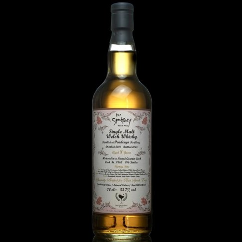 Penderyn 2016/2024 8Yo-Bar Speak Easy